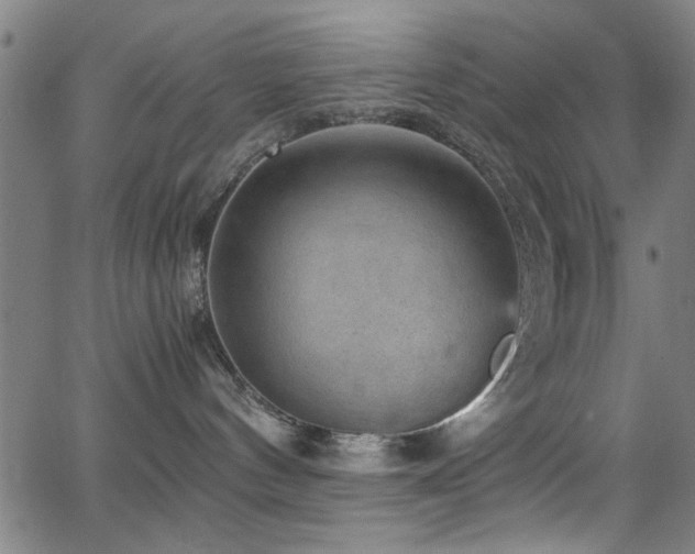 X0000065960144200603031137