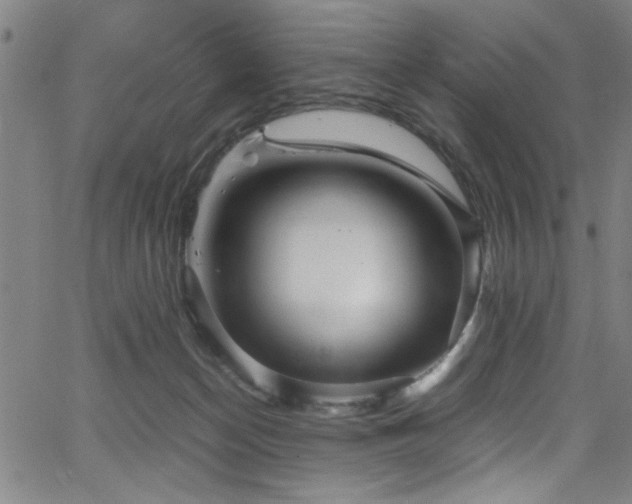 X0000065960174200603031137