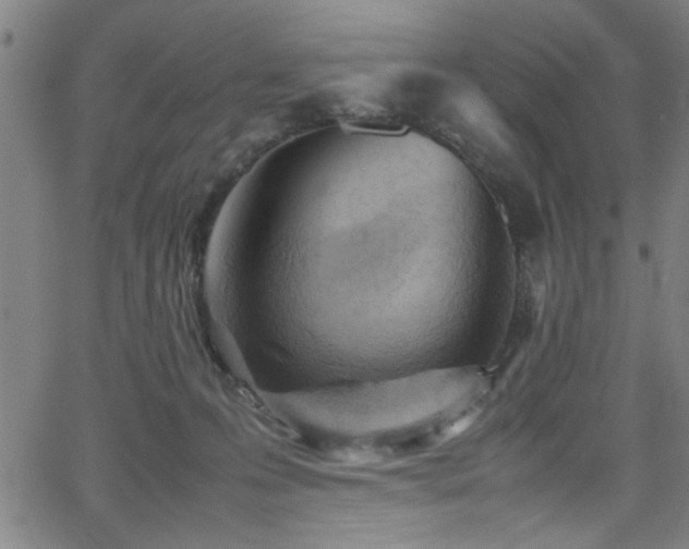 X0000065960223200603031136