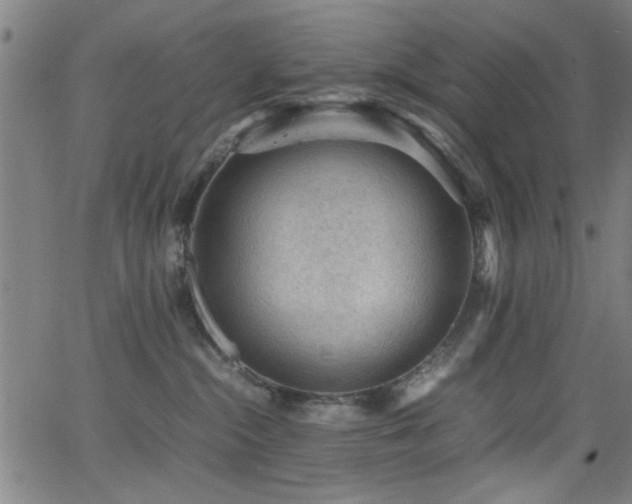 X0000065960284200603031136