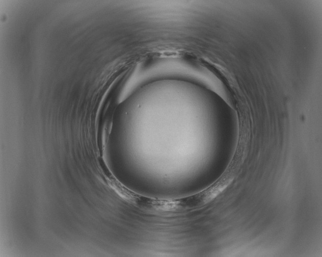 X0000065960288200603031136