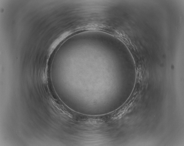 X0000065960292200603031135