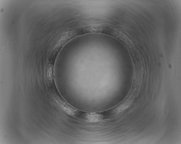 X0000065960336200603031134