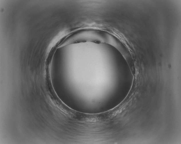 X0000065960344200603031133