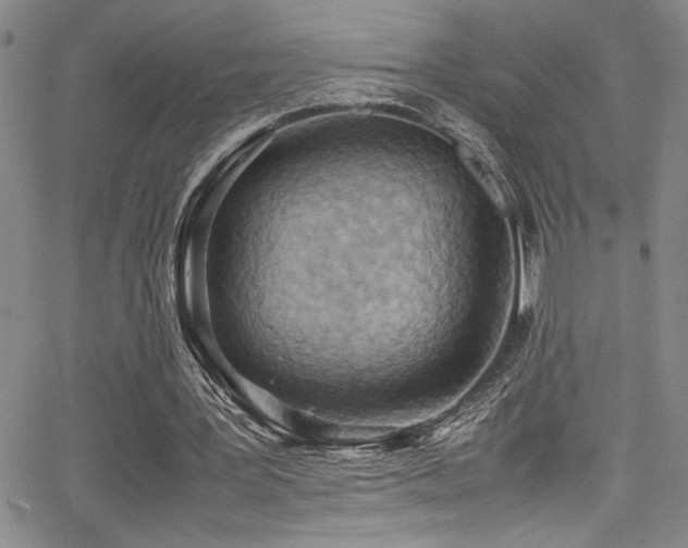 X0000065960387200603031133