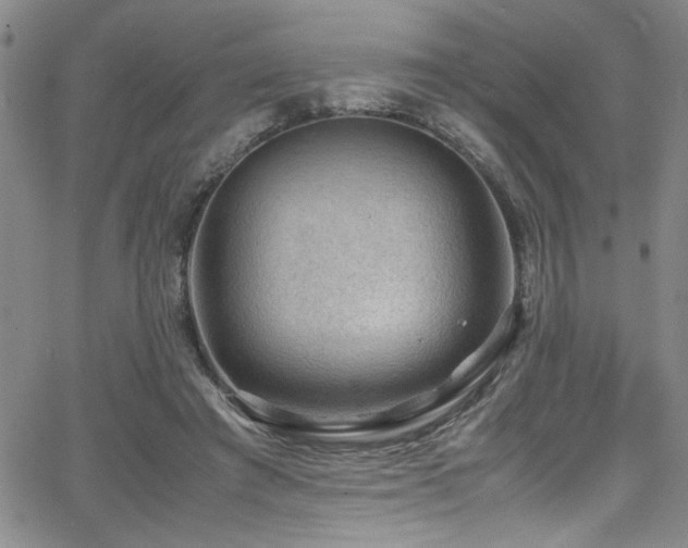 X0000065960401200603031133