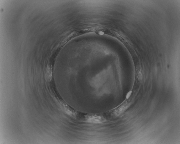 X0000065960471200603031132