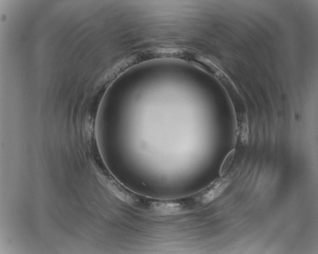 X0000065960476200603031132