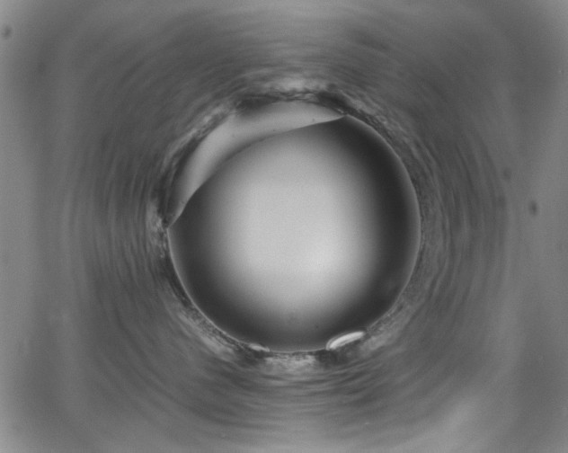 X0000065960480200603031132