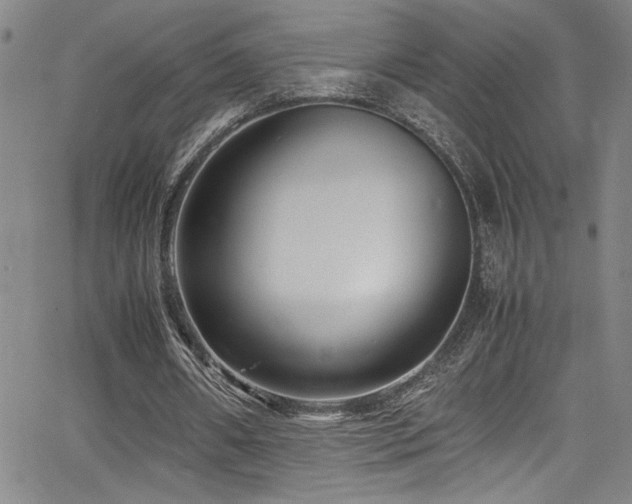 X0000065960482200603031132