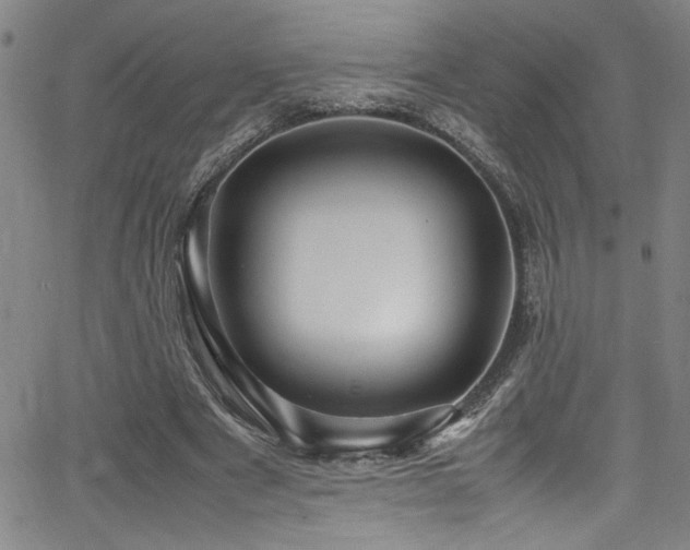 X0000065960489200603031132