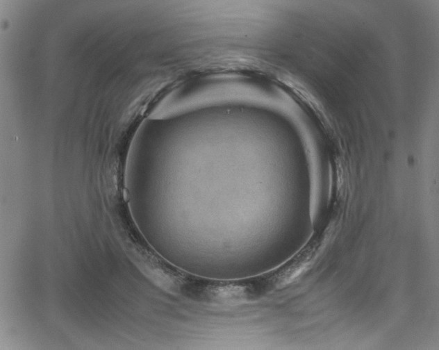 X0000065960501200603031131
