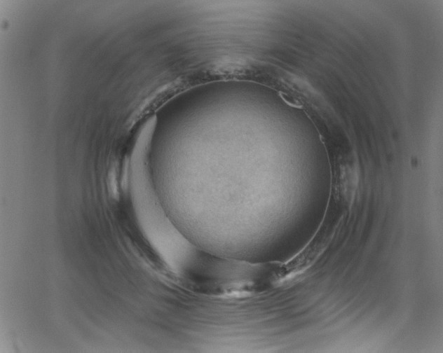 X0000065960508200603031131