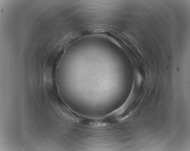 X0000065960512200603031131