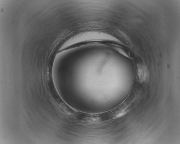 X0000065960552200603031130
