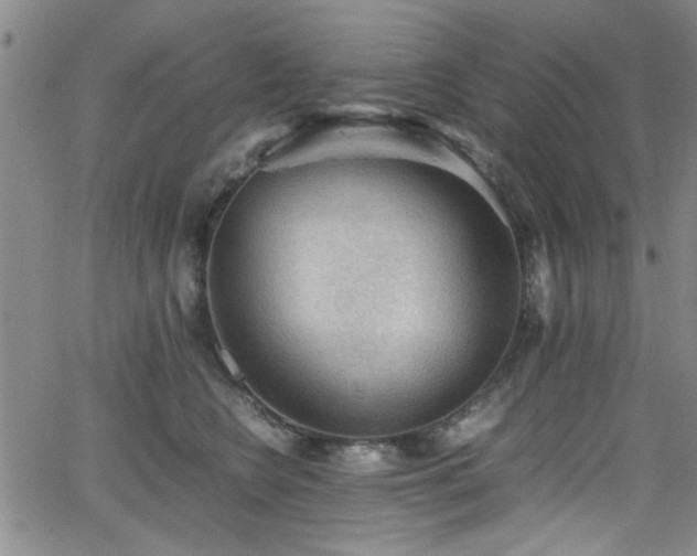 X0000065960566200603031131