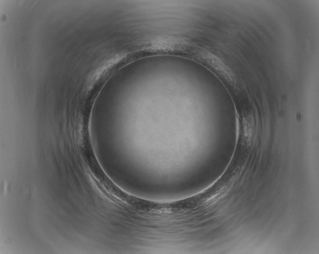 X0000065960588200603031130