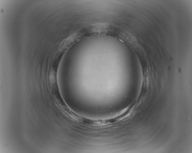 X0000065960623200603031129