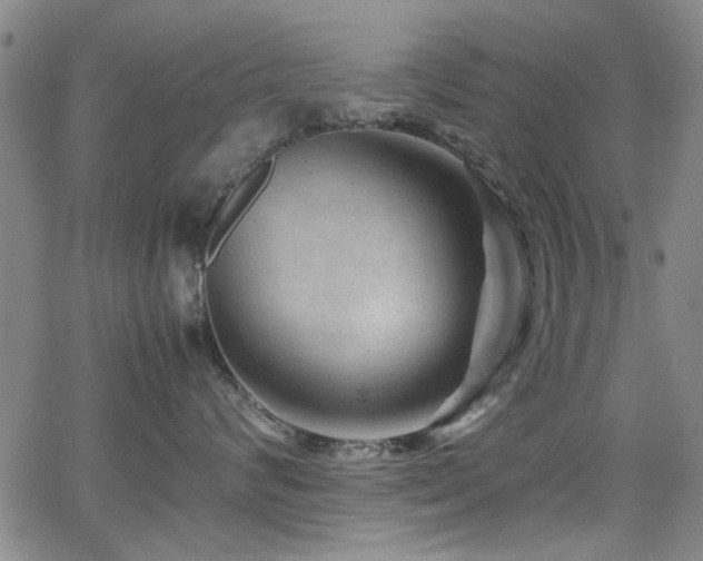 X0000065960624200603031129