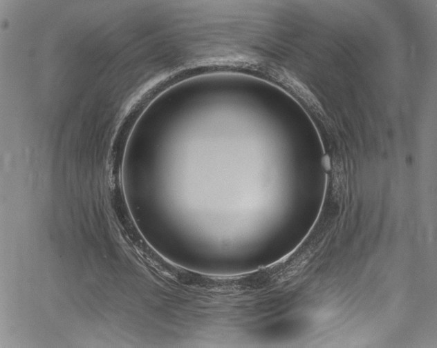 X0000065960628200603031129