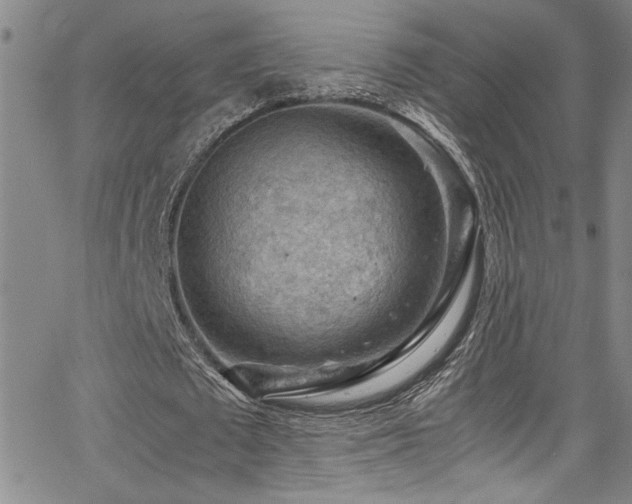 X0000065960673200603031129