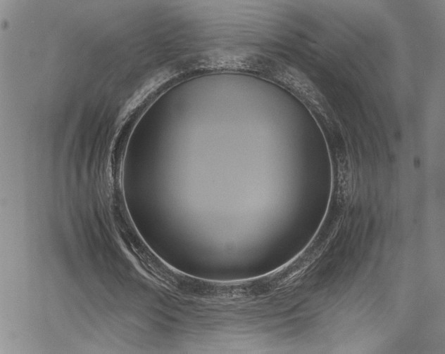 X0000065960674200603031128