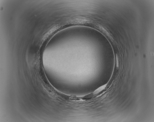 X0000065960675200603031128