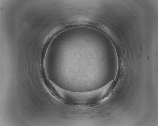 X0000065960677200603031128