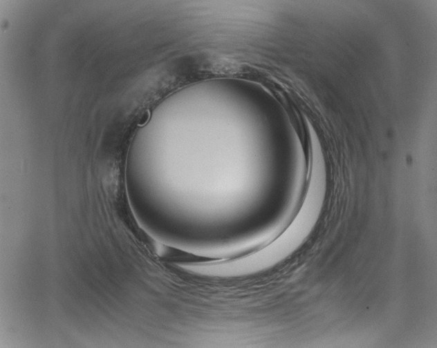 X0000065960697200603031128