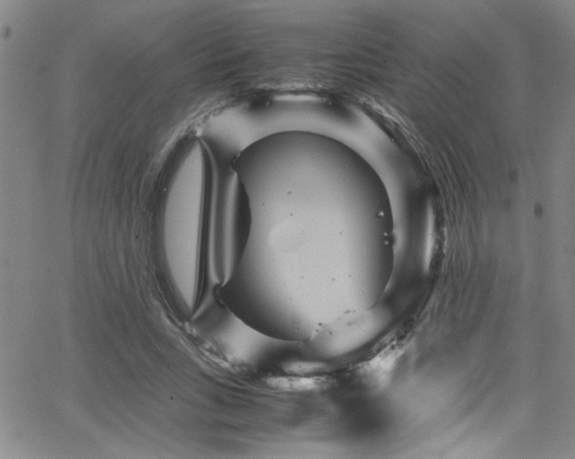 X0000065960735200603031127
