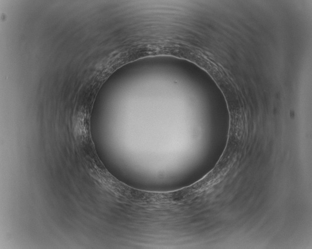 X0000065960770200603031127