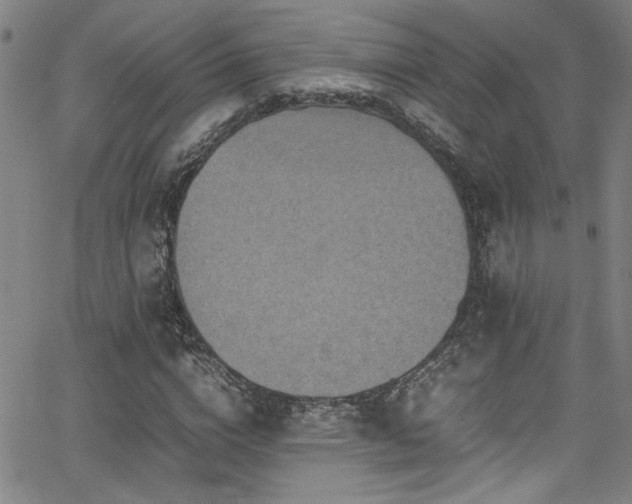 X0000065960824200603031126