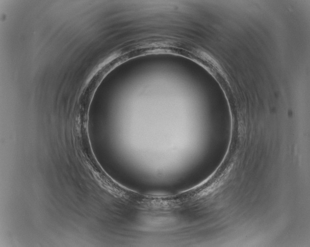 X0000065960827200603031126