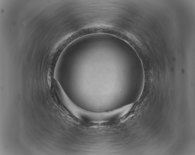 X0000065960872200603031125