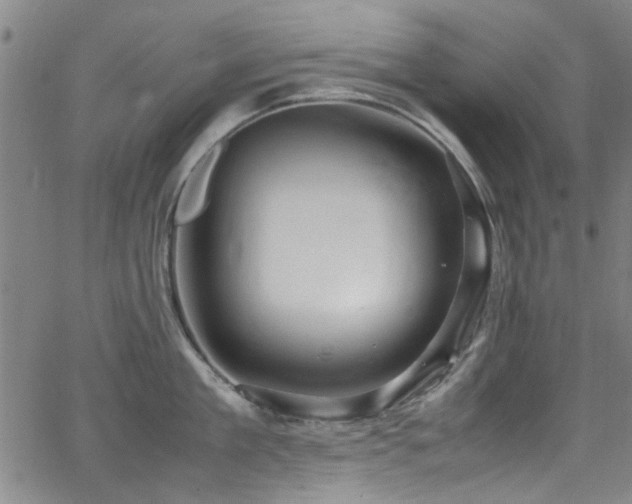 X0000065960909200603031125