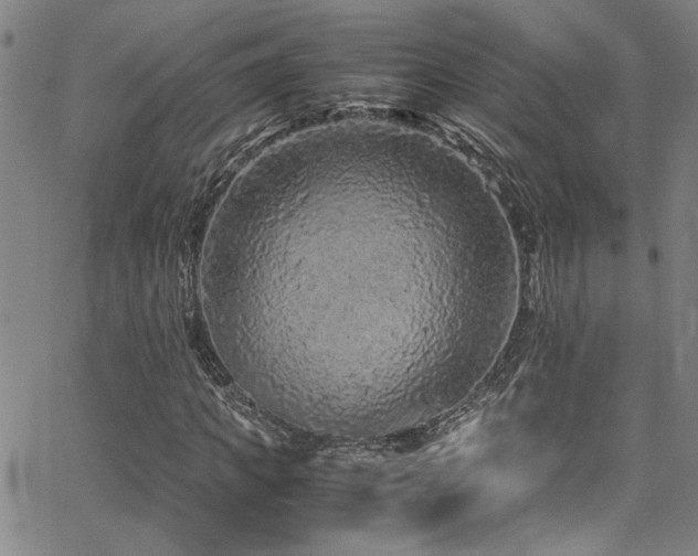 X0000065960917200603031124