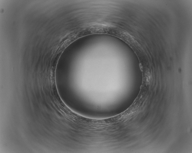 X0000065960964200603031124