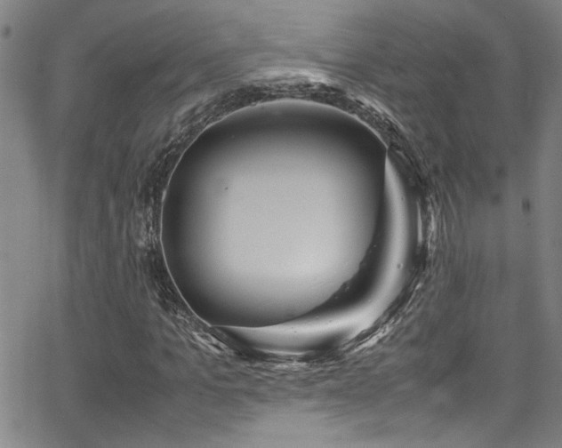 X0000065960965200603031124
