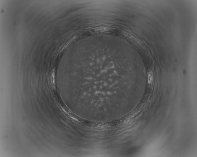X0000065961011200603031122