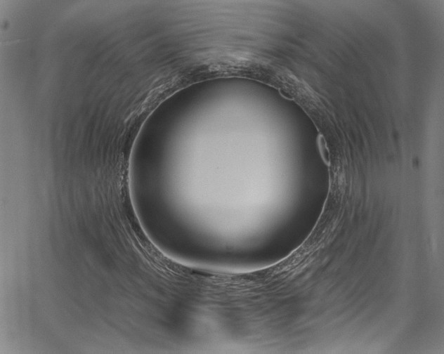 X0000065961012200603031122