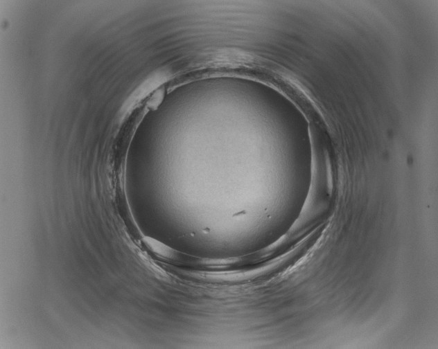X0000065961018200603031122