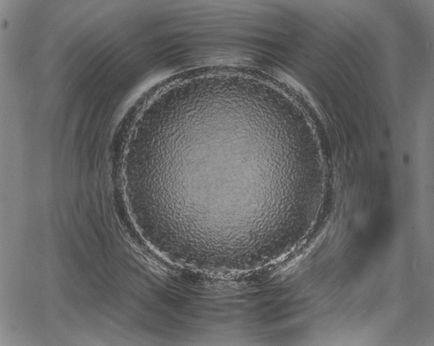 X0000065961019200603031122