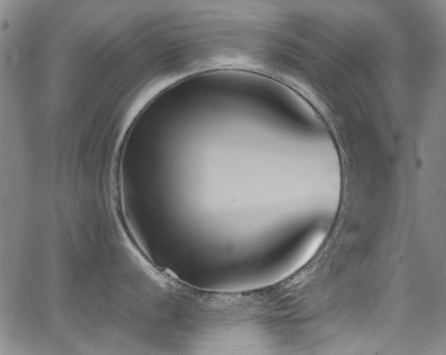 X0000065961056200603031123