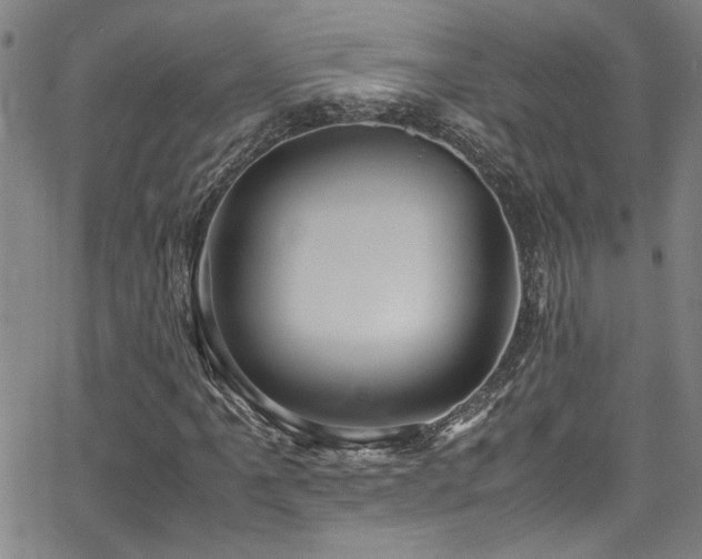 X0000065961061200603031122