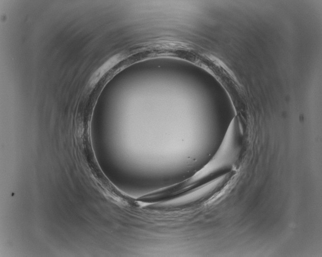 X0000065961065200603031122