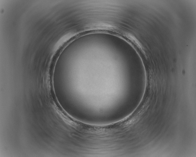 X0000065961072200603031122
