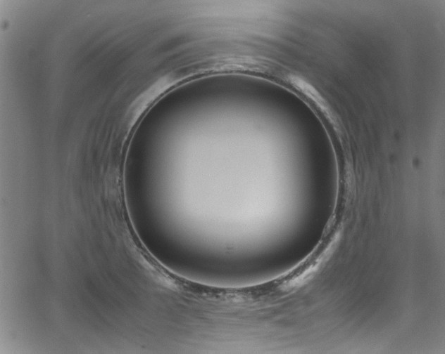 X0000065961089200603031122