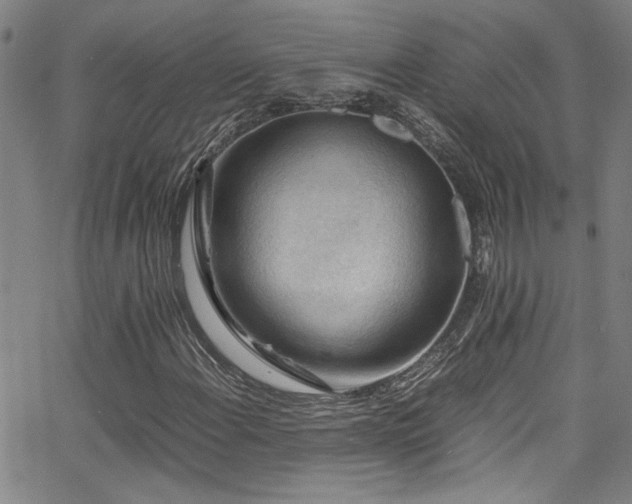 X0000065961108200603031121