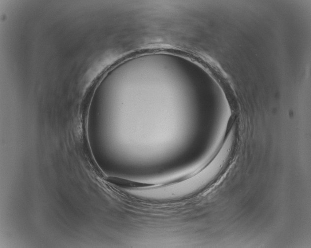 X0000065961167200603031120