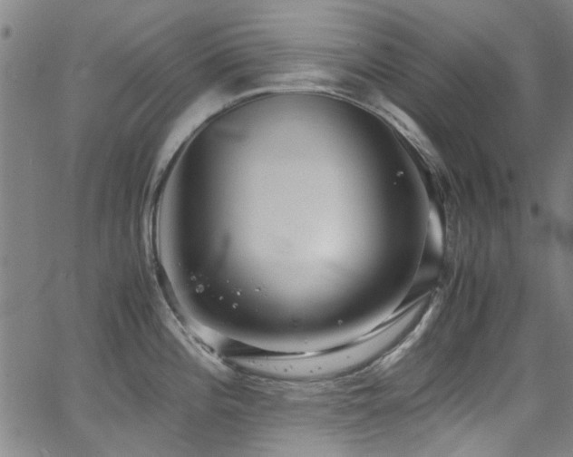X0000065961196200603031120
